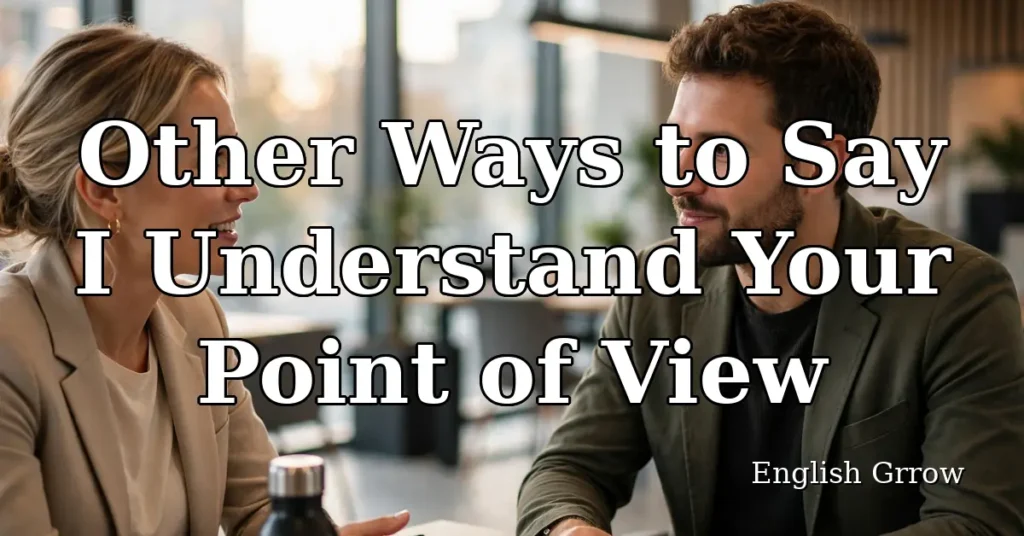 Other ways to say I understand your point of view: professional and polite alternatives
